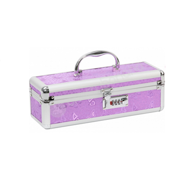 BMS Enterprises Lockable Vibrator Case Medium