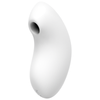 Satisfyer Vulva Lover 2